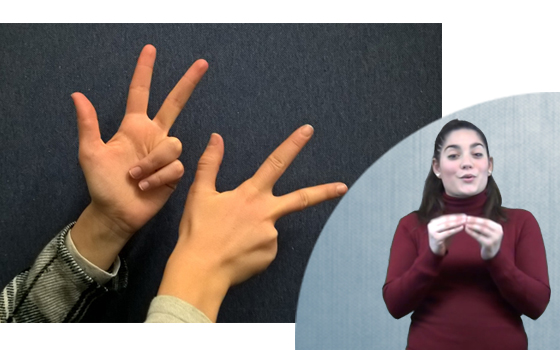 La grammatica della lingua dei segni italiana: i cheremi